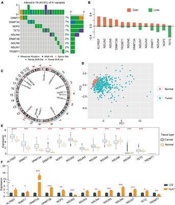 Uncovering the Association Between m5C Regulator-Mediated Methylation Modification Patterns and Tumour Microenvironment Infiltration Characteristics in Hepatocellular Carcinoma